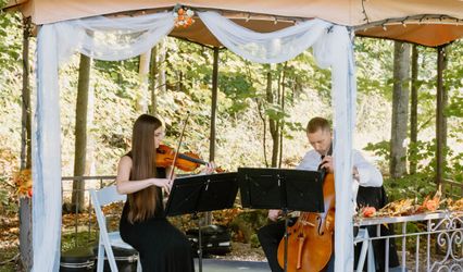 Cadenza Strings