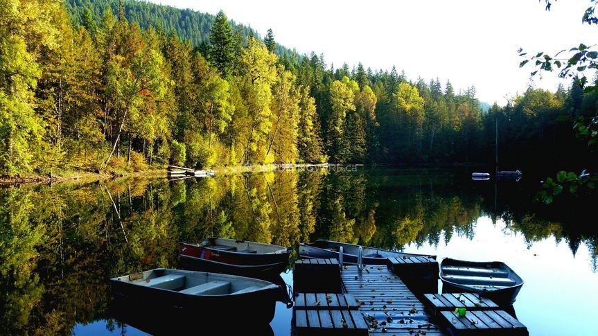 Cozy Cabins Wellness Resort