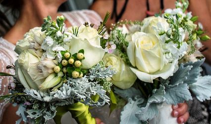 bromewood, fleuriste