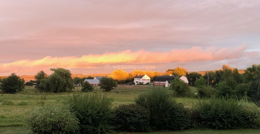 A Willowbank Farm Wedding