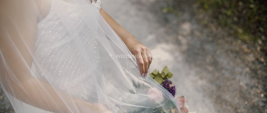 Red Premier Videography