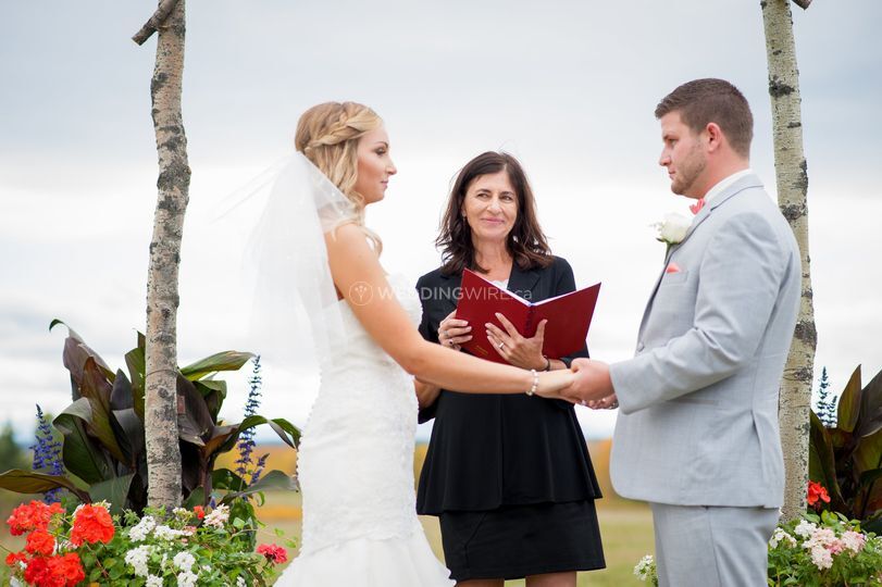 All Seasons Weddings