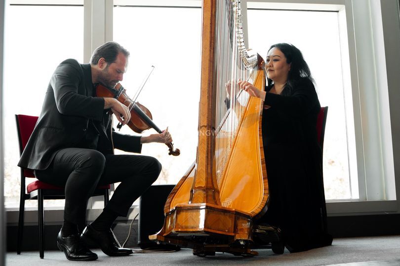 Violin and Harp