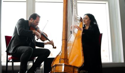 Violin and Harp