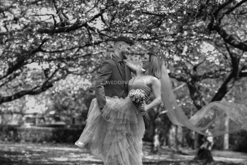 Diana Dream Studio - Photography + Videography