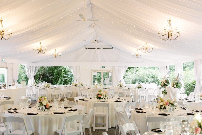 Kim Terzimehic Weddings