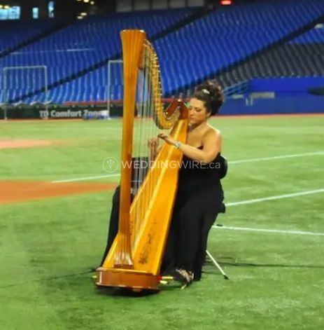 Divine Harp - Harpist