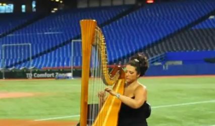 Divine Harp - Harpist