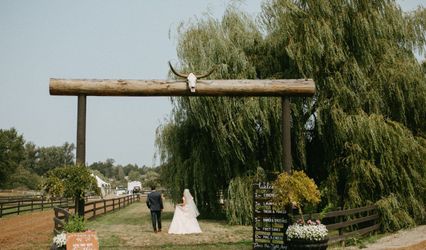 Willow Lake Farm & Stables