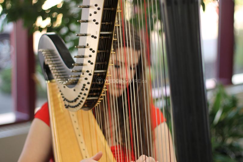 The Northern Harpist