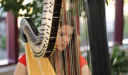 The Northern Harpist