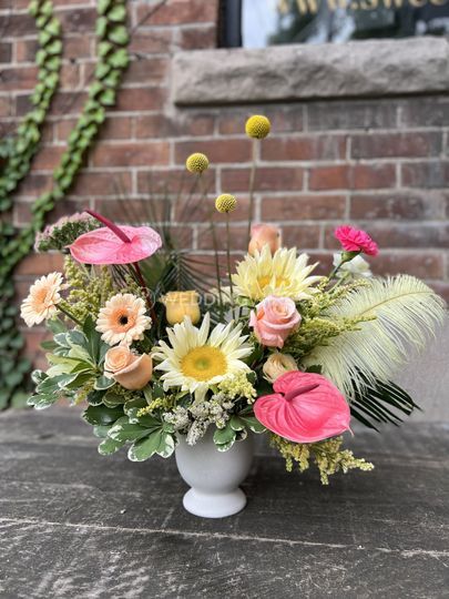 Blooms by Ellie
