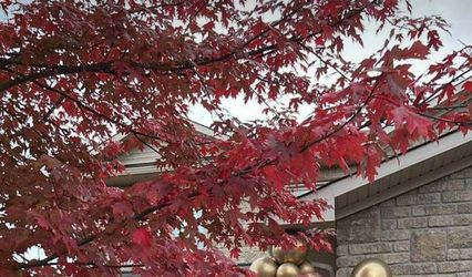 Tanou Inc - Balloon Installations