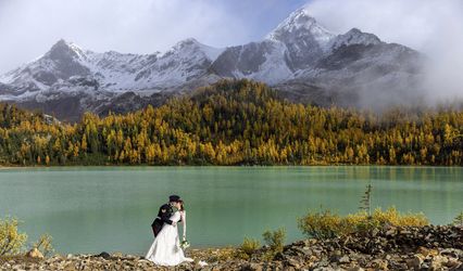 Wild Alpine Image Co.