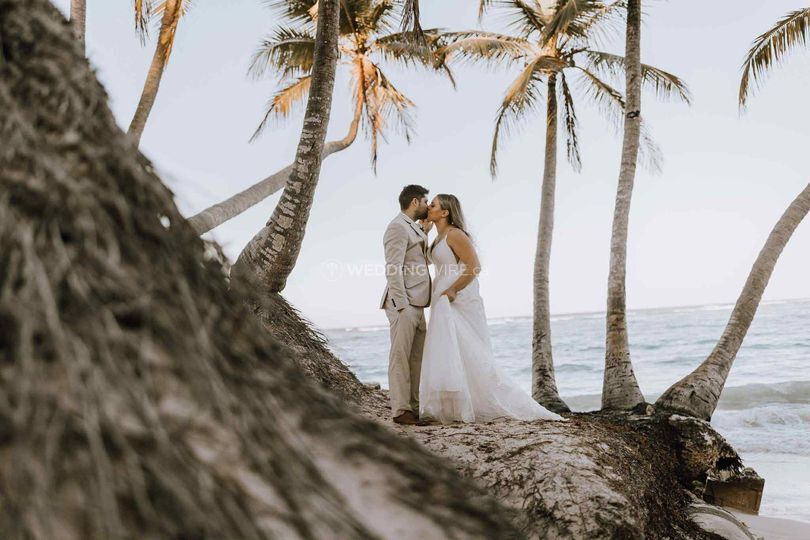 B&B Cruise Holidays and Travel Professionals