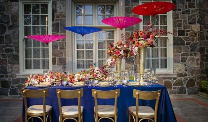 Fruzsina Ford Premium Events