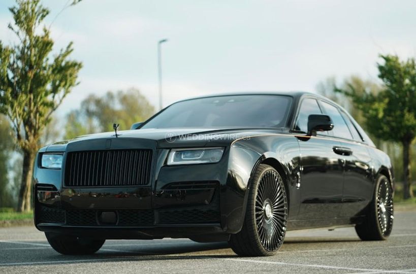 Enchanted Limousine