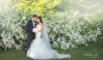 Shirley Law Photography