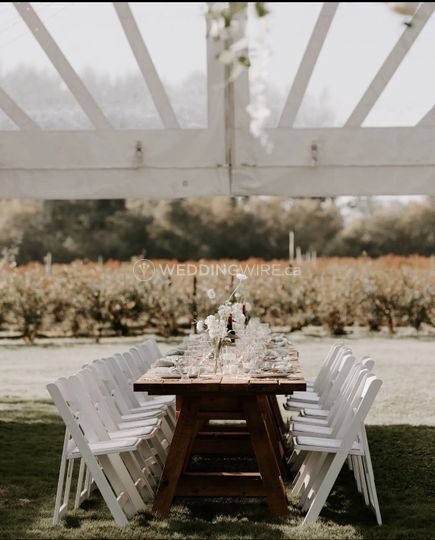 Pretty Lil Things Weddings & Events