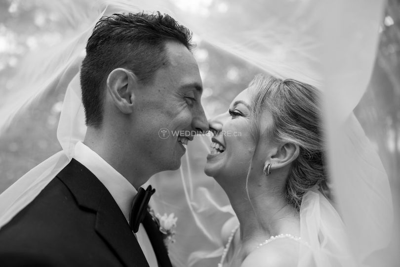 Honey Bee Photography