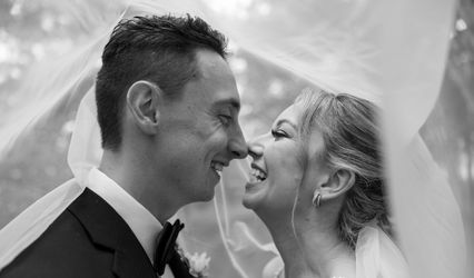 Honey Bee Photography