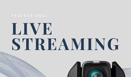 Seahorse Streams
