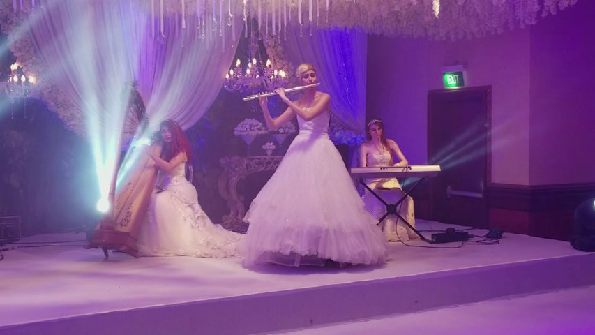 808 Entertainment Specialty Acts 