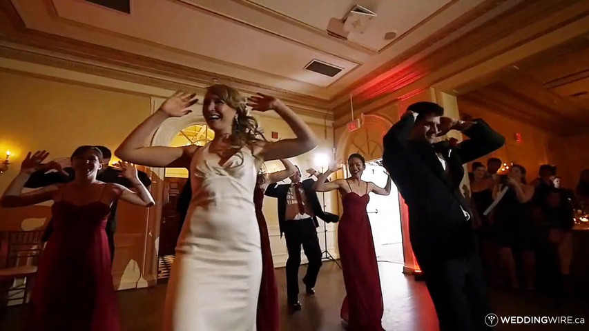 Website home page video full