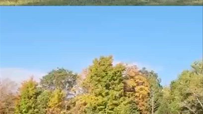 Fall Wedding