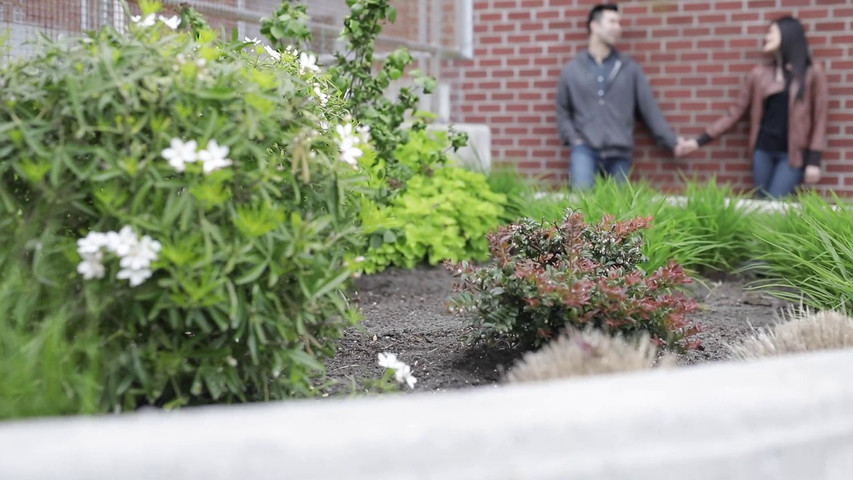 Jane & Mark's pre-wedding film