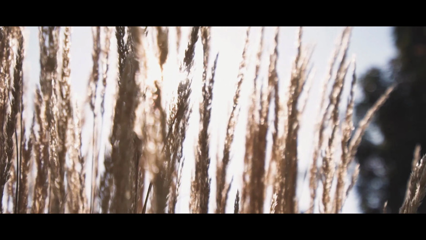 Hillary & Rady - Highlight Film