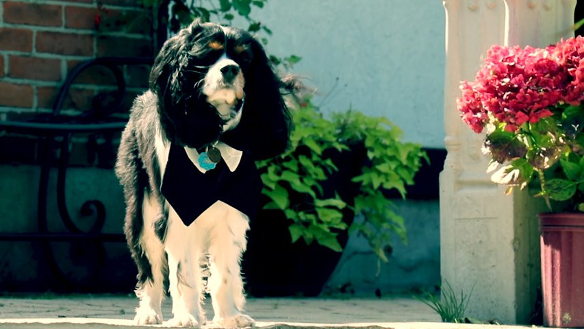 Erin Estate Weddings