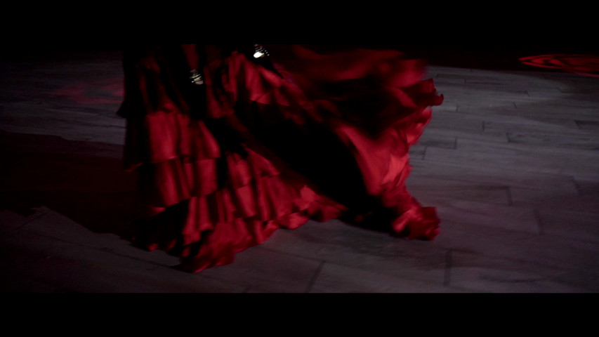 Flamenco Show