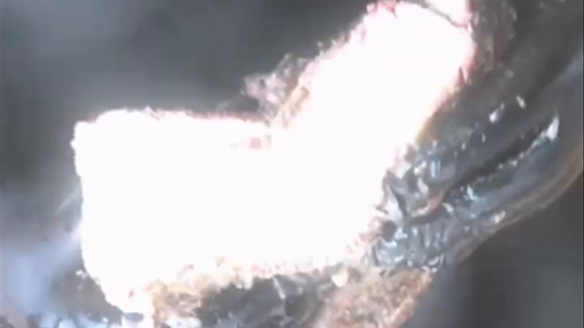 King Of BBQ
