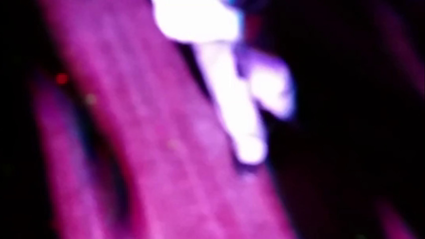 Young MJ at his mom's wedding 