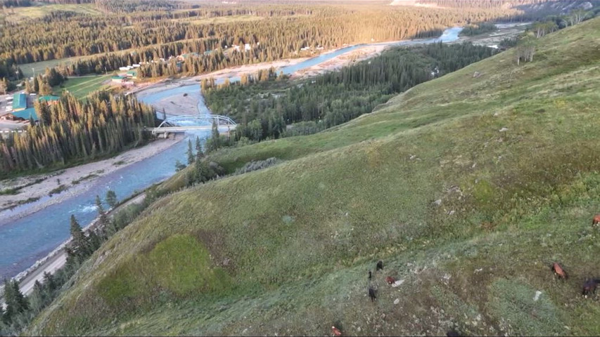 Flyover of a beautiful Venue