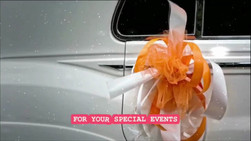 AB Limo Service
