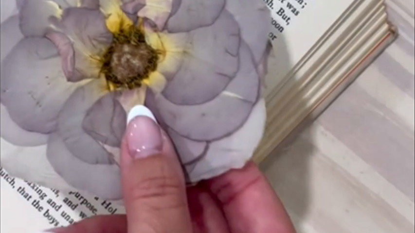 Different Variety of Pressed Roses 