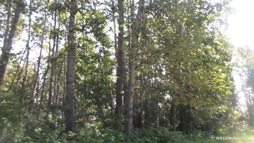 Audio Clarity & Acuity.  Crazy D's ENSURES it