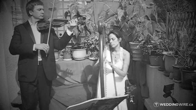 Harp and Violin
