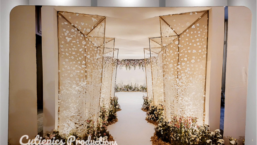 Our Backdrop Collections