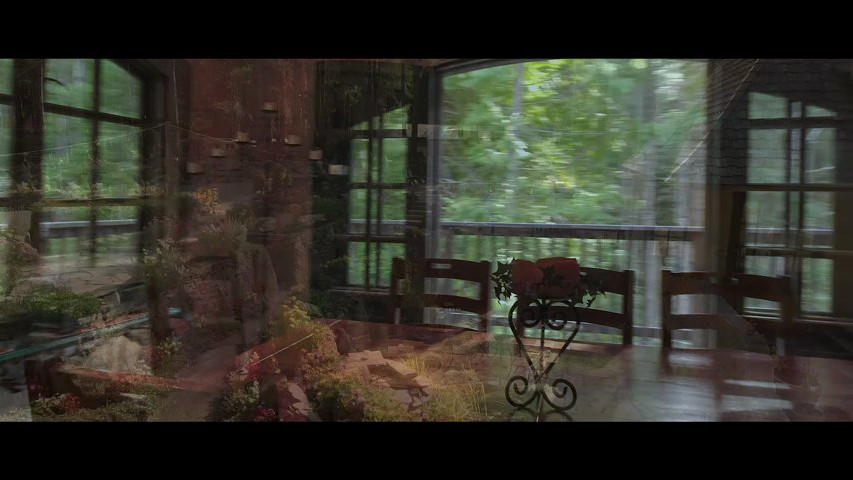 Stonehearst feature video