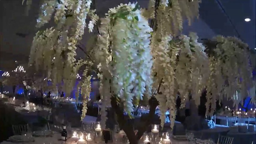 Garden di Fiori Wisteria Tree