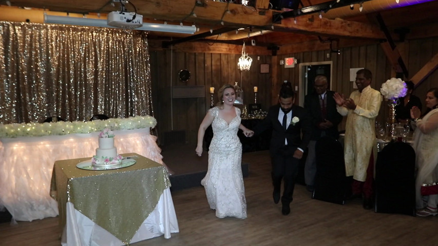 Diana and Chris Wedding Highlights 