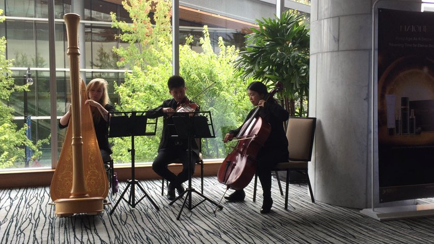 Musical Occasions - Harp, Violin and Cello Trio, Can't Help Falling in Love