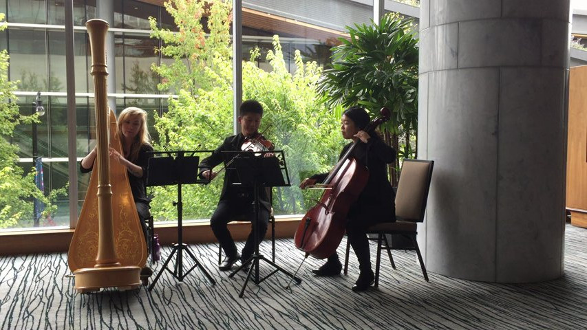 Musical Occasions - Harp, Violin and Cello Trio, Somewhere Over the Rainbow