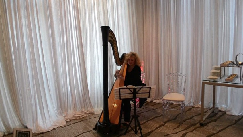 Musical Occasions - Solo Harp, A Thousand Years by Christina Perri