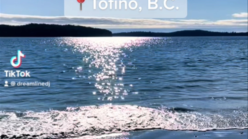 The Shore Pier, Tofino - C&M