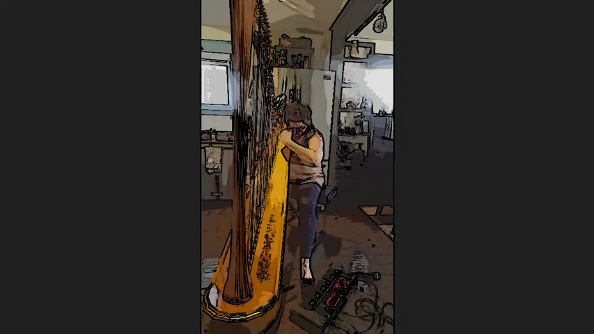 "Wake me up" by Avicii - Loop station Premier - 1st in Canada