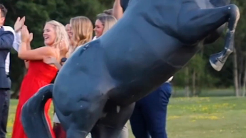 Ceremony & Reception Vibes